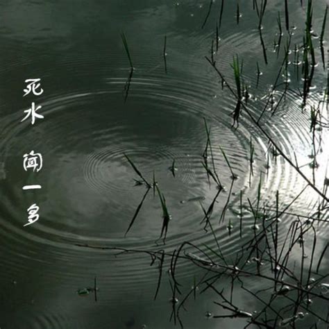 死水意思|死水